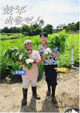 v影院片架特辑封面：周末食堂素人调度手记